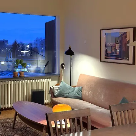 Cosy Rvk With Great View Of Laugardalur