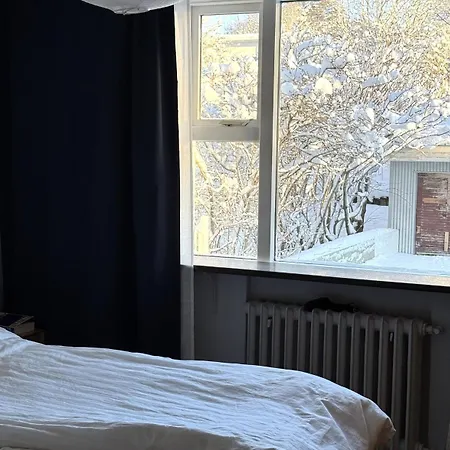 Cosy Rvk With Great View Of Laugardalur Reykjavik